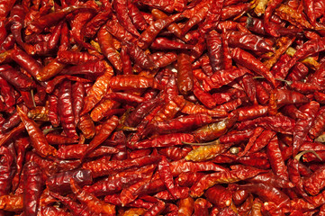 Peperonchini