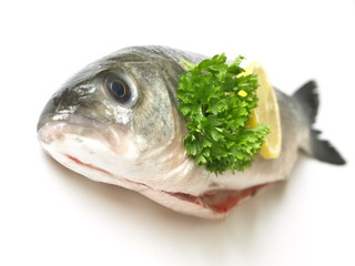Raw sea bass with parsley on white isolated background.