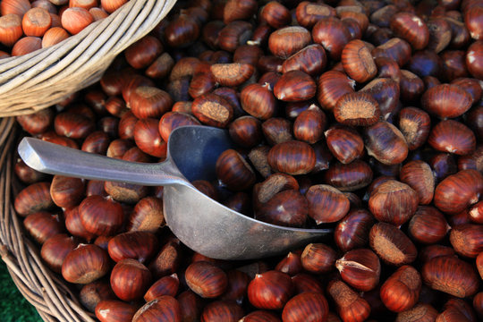 Food-Serie: Esskastanien