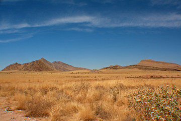 Fototapeta na wymiar Landschaft in Namibia