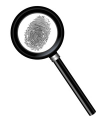 Vector magnifier and fingerprint