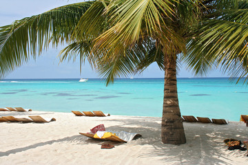 Paradiesisch