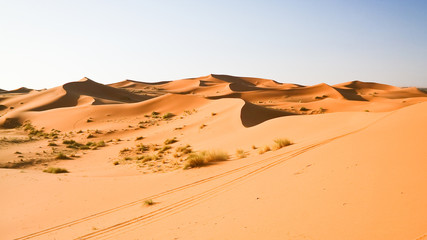 Fototapeta na wymiar Moroccan desert dune