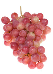 red grape
