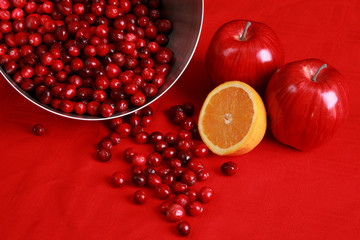 Ingredients for seasonal cranberry relish or sauce