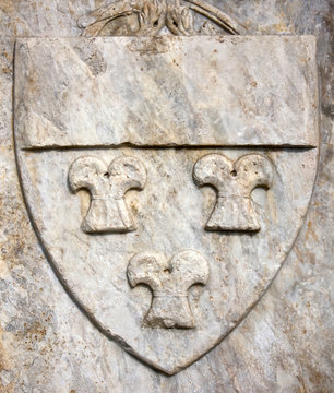 Vecchio Simbolo Araldico Fiorentino - Famiglia Solosmei