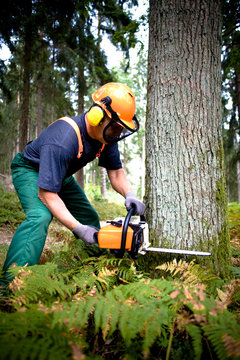 lumberjack