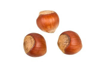 Three hazelnuts isolated on a white background