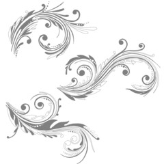 Floral silhouette, element for design.