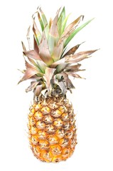 Fototapeta premium pineapple on white background