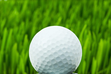 Golf ball on the green grass