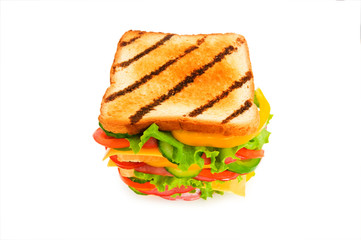 Giant sandwich isolated on the white background