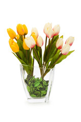 Colourful tulips isolated on the white background