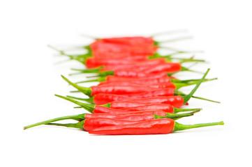 Red chili peppers isolated on the white