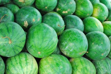 Freshly picked watermelons