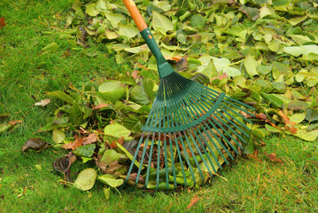 Laub harken - leaves rake 05