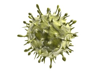 isoliertes H1N1 - Virus