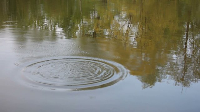 crease marks after rock dropped in the water
