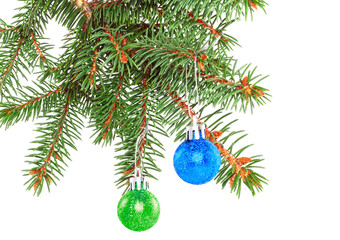 Christmas decoration-balls on fir branches.Isolated