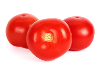 Tomatoes  on white background