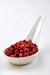 red organic pepper and a white background