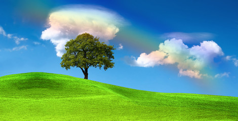 Obraz na płótnie Canvas Green tree on the hill