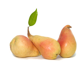 Three pears isolated on white background
