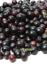 olivas