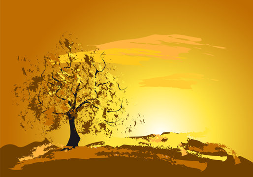 golden sunset with a tree