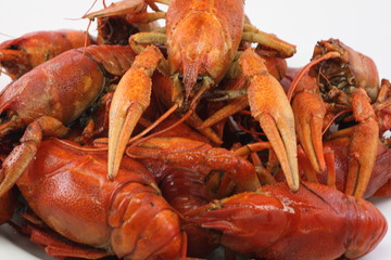 red, delicious, boiled crayfish lie on a white background
