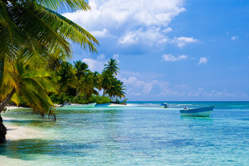 Fototapeta na wymiar Zielone palmy na białym piasku plaży