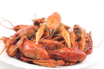 red, delicious, boiled crayfish lie on a white background