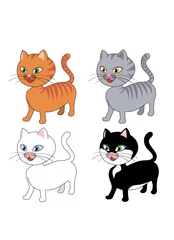 Fototapeten Katze in 4 Varianten © dunadicarta