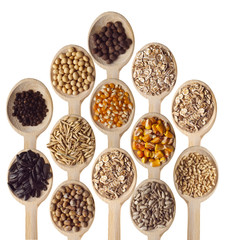 Grain And Cereal Products
