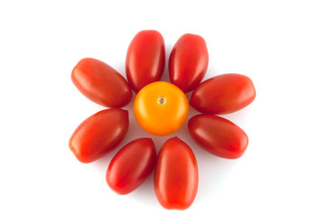 Tomato