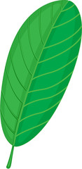 leaf