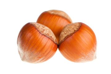 Hazelnuts