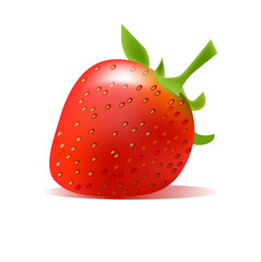 Ripe vector strawberry on white background