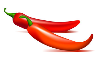 Red hot vector chili