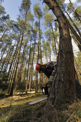 Waldarbeiter - Forstwirtschaft