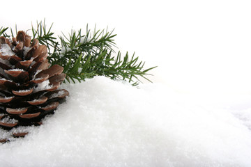 Christmas background of pine's cone