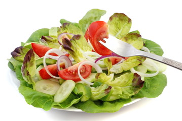 Fresh salad
