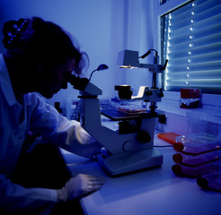H1N1 Schweinegrippe Virus Impfen