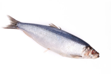 fish ready to cooks