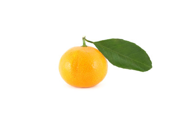 Tangerine isolated on pure white background