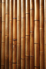 bamboo