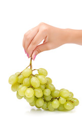 The female hand holds one grapes