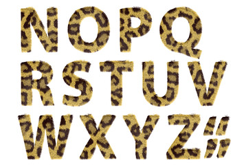 Furry Letters
