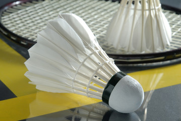 Badmintonbälle mit Schläger