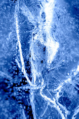 Eiskalte Leidenschaft